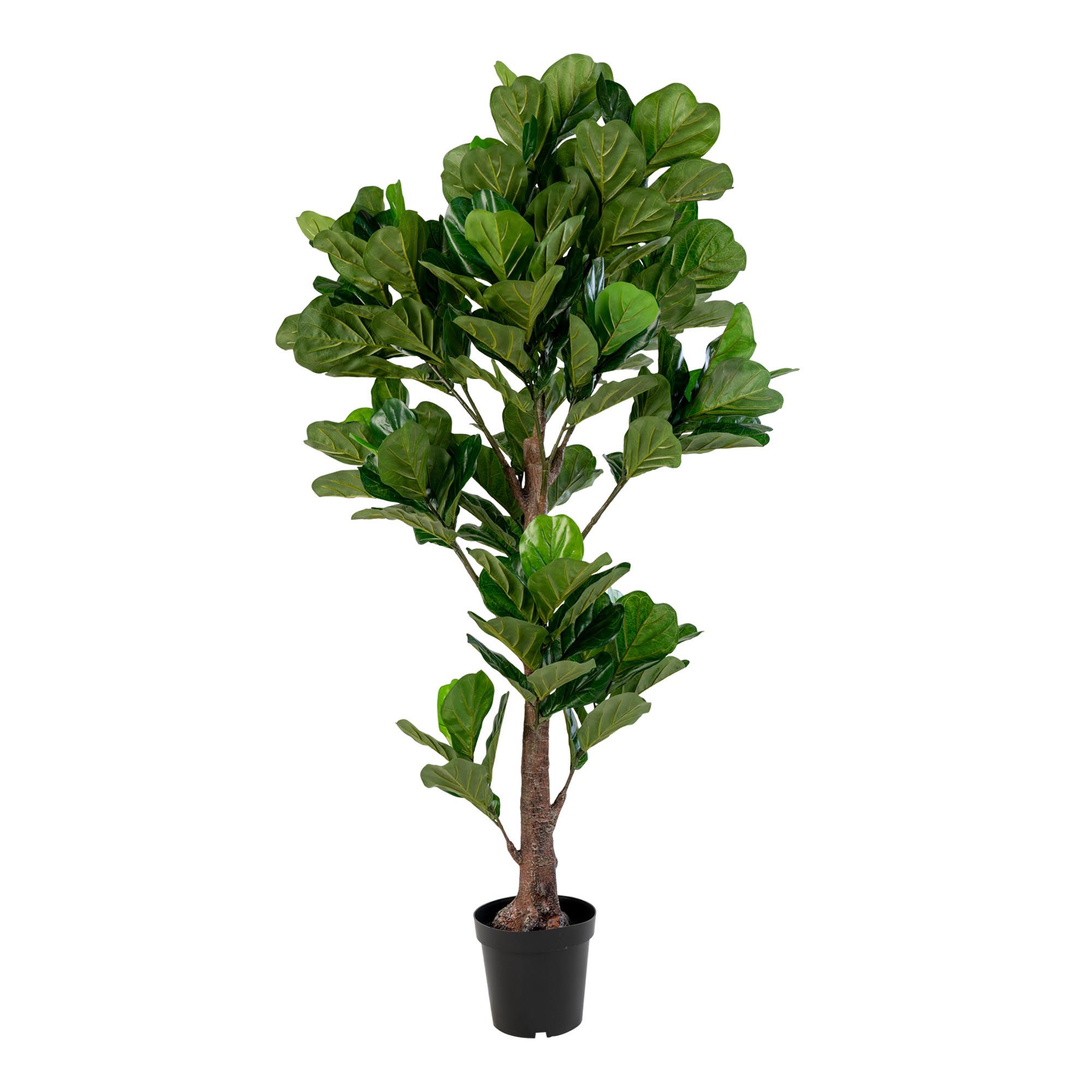 House Nordic Kunstig plante, grøn, H:190 cm