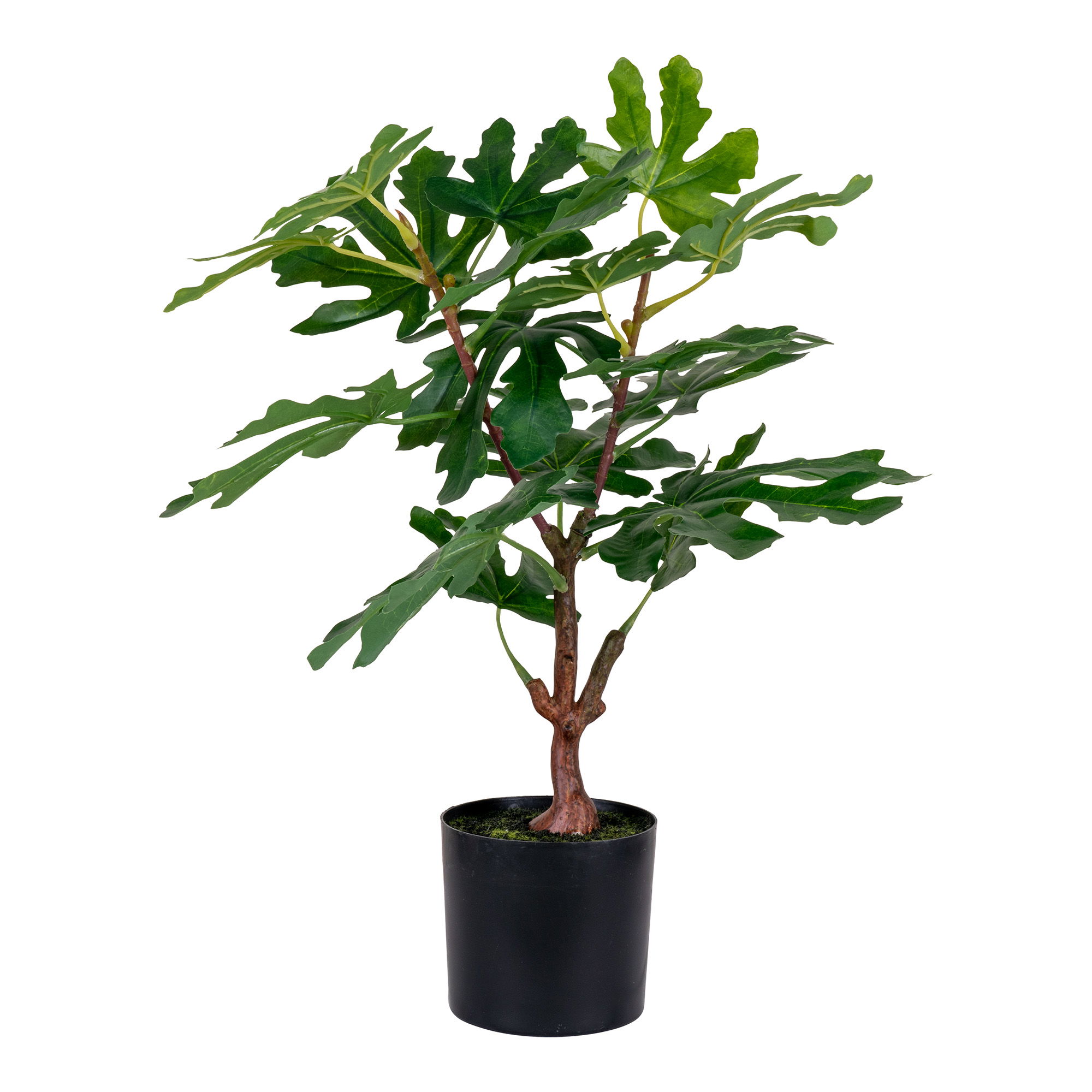 House Nordic Kunstig plante, grøn, H:60 cm